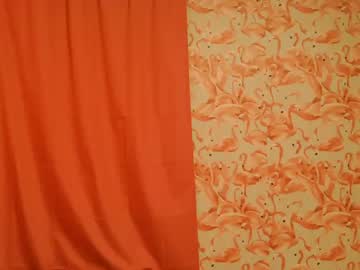 Cam for shelikessoymilk