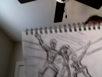 Cam for hangingheavy